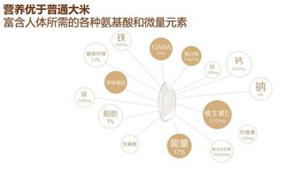 智谷良品 構(gòu)建新消費(fèi)時代的智慧生活品牌全案策略