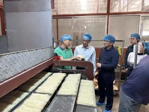 時隔20年, 燕子 牌排粉正式回歸 江門外海 似曾相識 燕 歸來