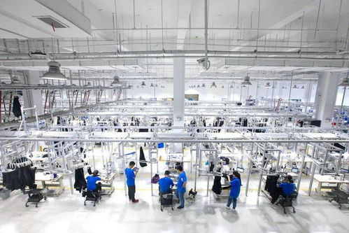 犀牛工廠 阿里“新制造”的數(shù)字化革命，并非電熔鎂生產(chǎn)